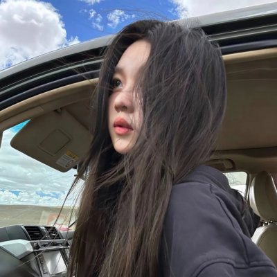 完美伴侣2025